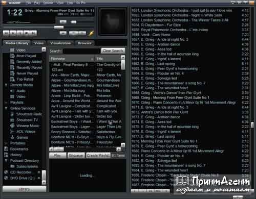 Тем не менее, он продолжает активно обновляться. В версии Winamp 5.5